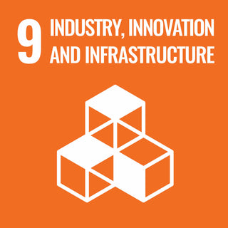 Click on the image to learn more about the Industry, Innovation and Infrastructure United Nations Sustainable Development Goal